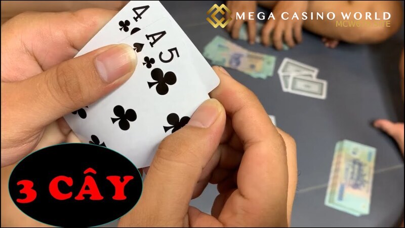 bài 3 cây